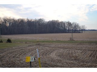 Property photo 14 - LAND AUCTION - 19.55+/- ACRES IN 1 TRACT IN ALLEN COUNTY, INDIANA